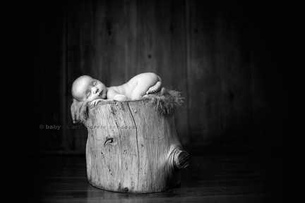 0201-newborn-baby-photography-workshop