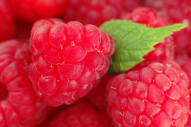 Raspberry-photo