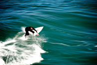 Allard_surfer