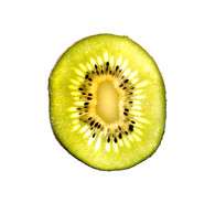 Fruit_shoot___kiwi